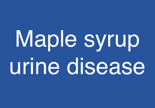 Maple syrup urine disease